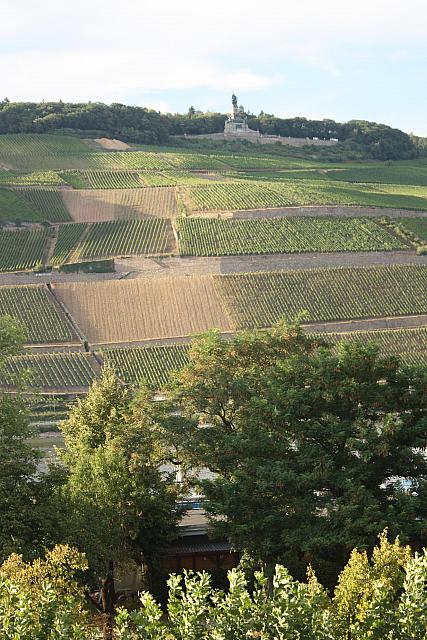 HB Sponsheim 2018 (34)